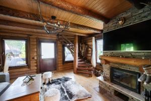 下维谢乌乡Cabana din Revier的小木屋内带壁炉的客厅