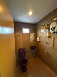 马六甲Hotel Harbour Stay的一间带卫生间和淋浴的浴室