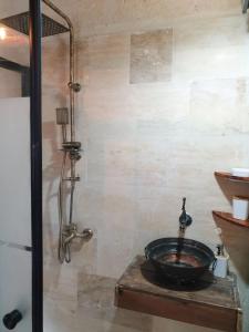 阿瓦诺斯Avangart Hotel的一间带水槽和淋浴的浴室