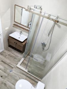 库塔伊西Brand new apartment in Kutaisi的带淋浴、卫生间和盥洗盆的浴室
