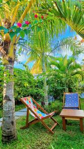 贝岛BEL HORIZON Nosy Be的棕榈树旁边的椅子和桌子