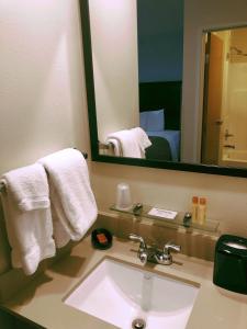 安克雷奇艾普泰尔公寓式酒店的一间带水槽和镜子的浴室