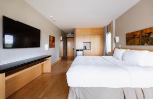 圣亚森特达浦恩斯特哈斯恩特酒店的一间酒店客房,配有一张大床和一台平面电视
