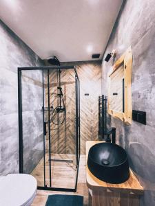穆扎希赫尔Apartamenty Pod Brzezinami的带淋浴和卫生间的浴室
