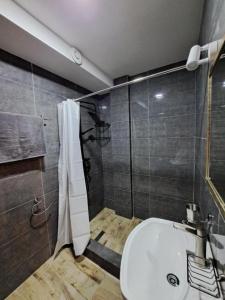 梅斯蒂亚Galasha的浴室配有卫生间、淋浴和盥洗盆。