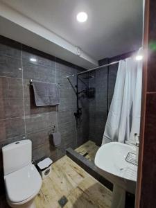 梅斯蒂亚Galasha的浴室配有白色卫生间和盥洗盆。