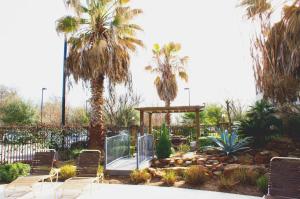 大学城学院站汉普顿套房酒店 的一个带椅子和凉亭的花园,并种植了棕榈树