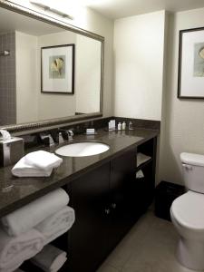 夏洛特夏洛特机场希尔顿逸林酒店的一间带水槽、卫生间和镜子的浴室