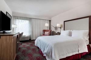 DeBary狄伯瑞-德尔托纳汉普顿酒店的配有一张床和一台平面电视的酒店客房