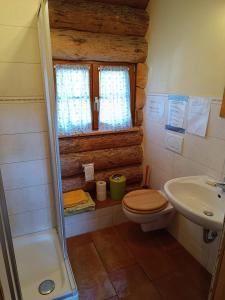 蒂蒂湖-新城Blockhaustraum的一间带卫生间和水槽的小浴室
