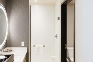 Urbandale厄本代尔司丽普酒店的一间带水槽、卫生间和镜子的浴室