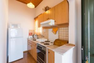 Porto OziasDolphin Villa 3的小厨房配有炉灶和冰箱
