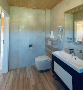 拉达瓦Brzozowa Aleja的一间带水槽、卫生间和镜子的浴室