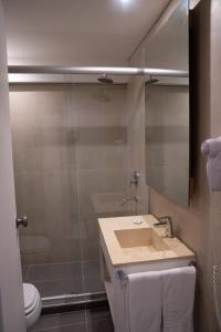 门多萨城市级别酒店的一间带水槽、淋浴和卫生间的浴室