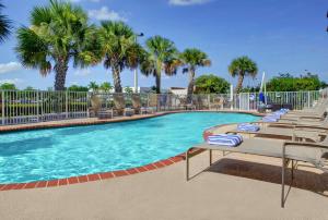 塔马拉克费劳德代尔/西索格拉斯/塔马拉克（佛罗里达州）希尔顿恒庭旅馆&套房酒店的一个带躺椅的游泳池,棕榈树