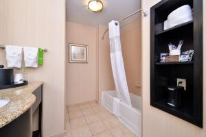 佩科斯佩科斯汉普顿酒店的带淋浴、卫生间和盥洗盆的浴室