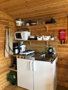 KopparbergStuga med sjöläge的厨房配有水槽和微波炉
