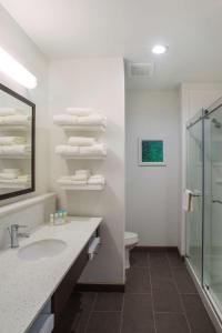 格尔夫海岸湾岸汉普顿酒店的一间带水槽、卫生间和镜子的浴室
