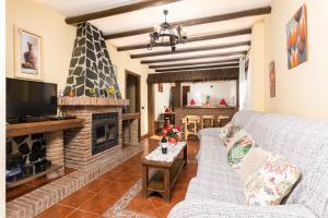 弗里希利亚纳Villa Las Palomas 2的带沙发和壁炉的客厅