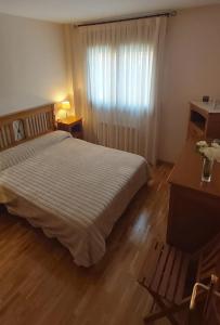 哈卡Jaca Artaso的一间卧室配有一张床、一张书桌和一个窗户。