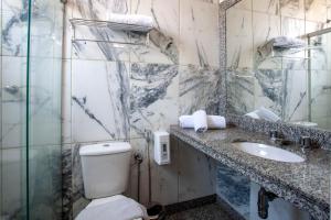 贝洛奥里藏特Savassinho Hotel & Residence的一间带卫生间、水槽和镜子的浴室