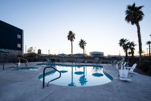 拉斯维加斯拉斯维加斯亨德森汉普顿套房酒店的棕榈树和棕榈树的游泳池