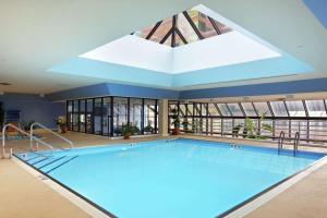 列克星敦列克星敦市中心希尔顿酒店的大型游泳池设有大型天窗