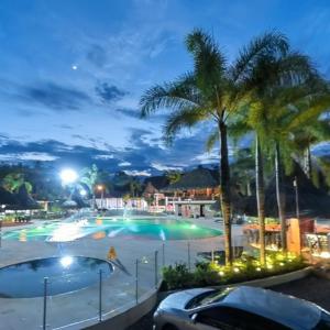 比亚维森西奥HOTEL CAMPESTRE Palma的棕榈树和汽车的夜间游泳池