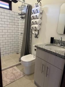 卡里略Casa Cooper的浴室配有卫生间、盥洗盆和淋浴。