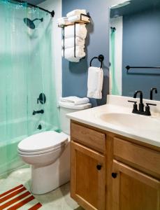 WaitsfieldMadbush Falls的浴室配有卫生间、盥洗盆和淋浴。