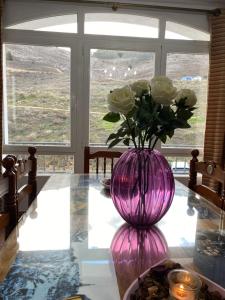 昆卡塞罗索科罗公寓的一张桌子上白色玫瑰花的紫花瓶