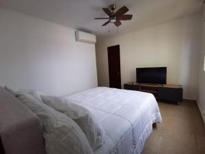 巴拿马城Apartment in the City的一间卧室配有一张床和一台平面电视