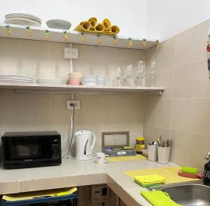 博卡斯德尔托罗Pineapple House的厨房柜台配有微波炉和水槽
