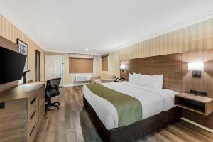 安纳海姆阿纳海姆梅因盖特品质套房酒店的酒店客房设有一张大床和一张书桌。