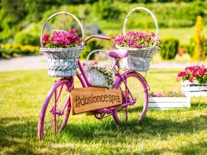 拉茨瓦维采拉茨瓦维采多斯洛尼采美居酒店、会议中心及水疗中心的两篮鲜花的粉红色自行车