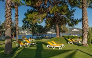 托尔巴DoubleTree by Hilton Bodrum Isil Club All-Inclusive Resort的公园里的一组椅子和棕榈树