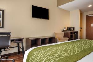 ConnellsvilleComfort Inn的酒店客房设有一张床、一张书桌和一台电视机。