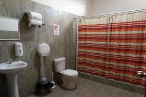 伊察Desert Nights Hostel的一间带卫生间和淋浴帘的浴室