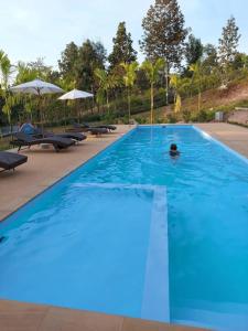 Ban Huai SaiHin Khong Villa - a tropical surprise的在大型蓝色游泳池游泳的人
