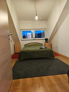 埃特尔布吕克Chambre privé dans belle maison 2的一间卧室配有一张带绿毯的床和窗户。