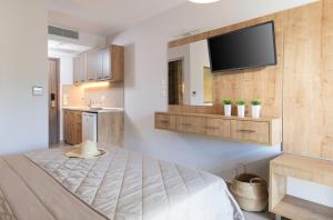 萨尔蒂Sarti Premium Suites的一间卧室配有一张床和一台平面电视