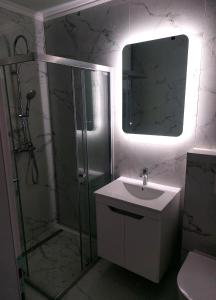 布戈伊诺Apartman-Stan的带淋浴、盥洗盆和镜子的浴室