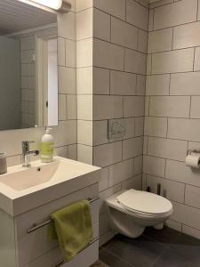 拉尔维克Tjodalyng - ved Viksfjord - sokkelleilighet的白色的浴室设有卫生间和水槽。
