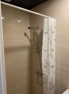 耶德库安特Namai Juodkrantėje的浴室里配有鸟儿淋浴帘