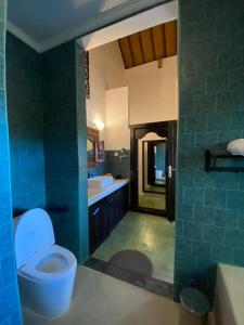 坎古普里香鱼酒店的蓝色的浴室设有卫生间和水槽