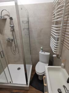 格涅兹诺Apartament na Rynku w Gnieźnie的带淋浴、卫生间和盥洗盆的浴室