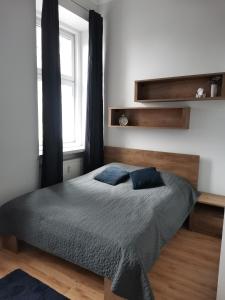 格涅兹诺Apartament na Rynku w Gnieźnie的一间卧室配有一张带蓝色枕头的床和一扇窗户。