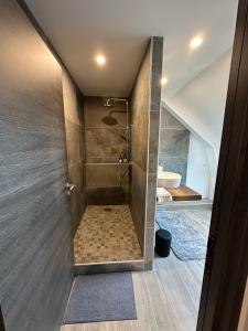Chavot-CourcourtAU COEUR DU TERROIR CHAMPENOIS的带淋浴和浴缸的浴室