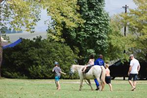 温特顿Mountain Splendour Eco Resort的一群人和一群骑马的女孩
