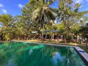 锡吉里亚La Dolce Vita的一座棕榈树环绕的游泳池